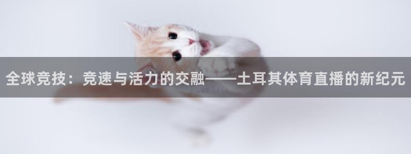 88看球nba免费直播：全球竞技：竞速与活力的交融——土耳其体育直播的新纪元
