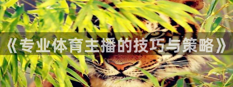 88看球:足球直播_nba线上看_免费体育直播：《专业体育主播的技巧与策略》