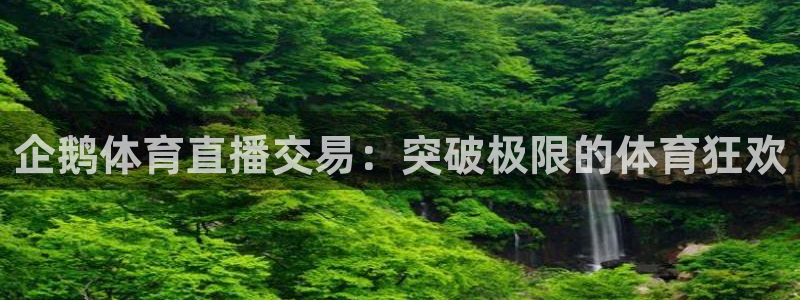 888看球直播nba：企鹅体育直播交易：突破极限的体育狂欢