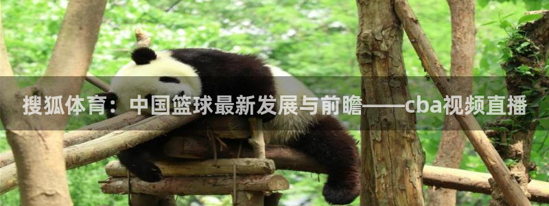888看球直播吧：搜狐体育：中国篮球最新发展与前瞻——cba视频直播