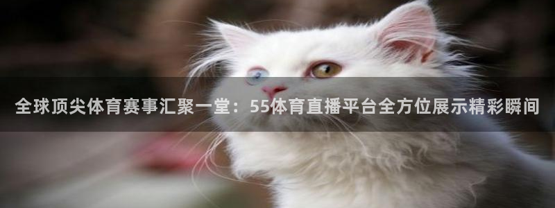 nba88看球直播免费直播：全球顶尖体育赛事汇聚一堂：55体育直播平台全方位展示精彩瞬间