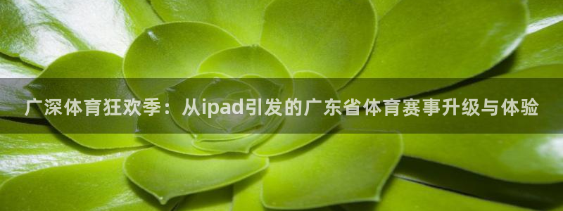 nba免费直播在线观看88看球：广深体育狂欢季：从ipad引发的广东省体育赛事升级与体验