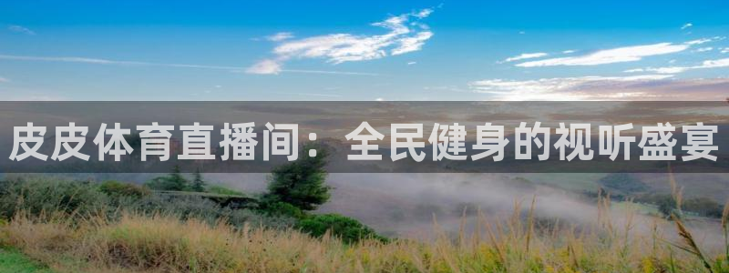 888看球nba直播免费：皮皮体育直播间：全民健身的视听盛宴