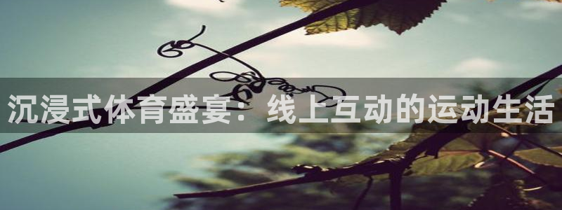 88看球nba直播在线观看：沉浸式体育盛宴：线上互动的运动生活